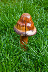 Wooden Mushroom