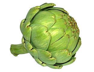 Obraz premium artichaut