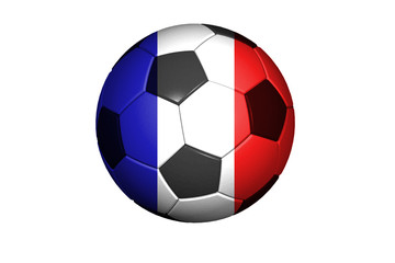 Frankreich Fussball WM 2010