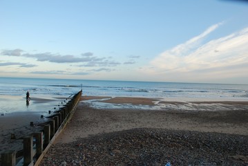 Fototapeta premium The pedals