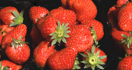 Erdbeeren auf dem Markt