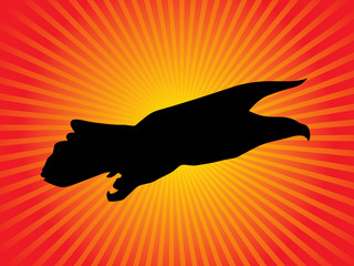 Eagle flying at sunset