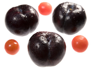Plum and Tomato