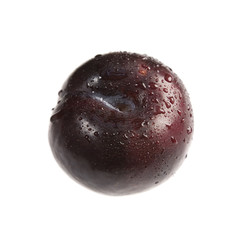 Single Plum