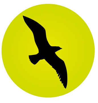 P&aacute;jaro a contraluz