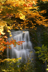 Fall Waterfall