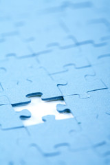 Jigsaw piece