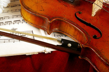 The violin