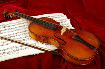 The violin