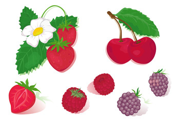Red isolated fruits- strawberry, cherry, raspberry.