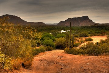 Desert Storm Approaching