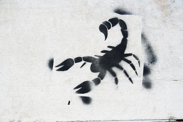 Fototapeta na wymiar Skorpion