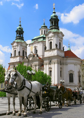 Naklejka na ściany i meble Konie w Pradze