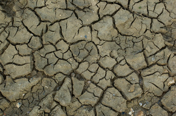 Drought