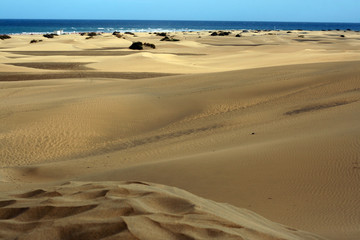 Dunas de Maspalomas X