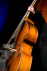 Acoustic double bass player - Classic Jazz