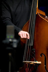 Acoustic double bass player - Classic Jazz