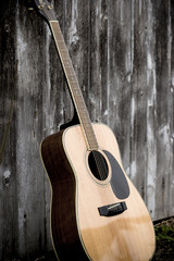 Acoustic Guitar