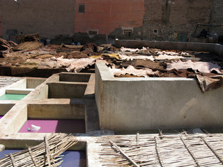 Marrakech - tanneurs