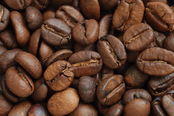 Coffee grains
