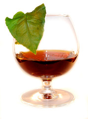Glass of cognac