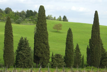 paesaggio