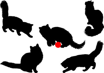 Cat silhouettes - 7419292