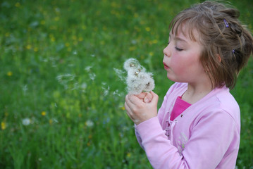 Cute girl blowing dandelion