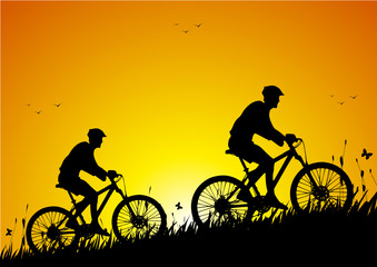 Obraz premium Mountain bike in a meadow at sunset