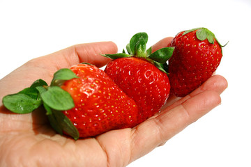 Strawberry trio