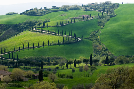 tuscany green hills