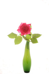 rosa vaso