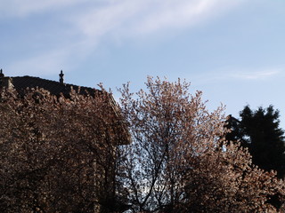 Città dei segni di primavera