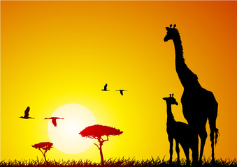 Giraffe and pup at sunset