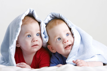 Beautiful twin babies - obrazy, fototapety, plakaty