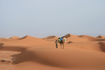 Chameau et chamelier dans les dunes du Sahara