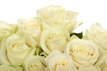 bouquet of white roses close