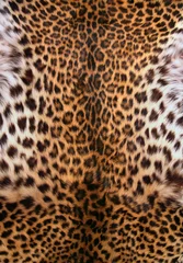 Möbelaufkleber Haut des Leoparden © Tatiana Morozova