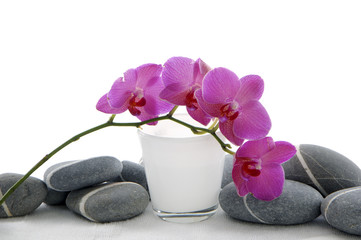 spa item and orchid flower
