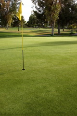 Golfing Green