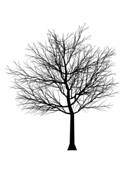 Tree Silhouette 3