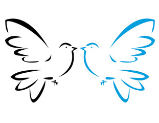 Vector illustration of flying dove