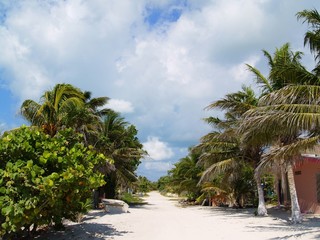 punta allen