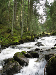 Fluss in Tirol