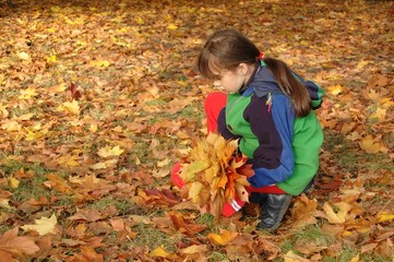 Fall