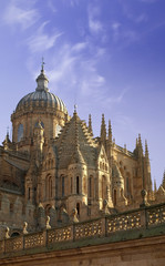 Fototapeta premium Catedral de Salamanca