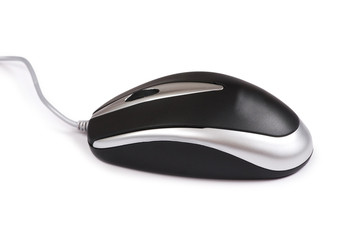 Computer mouse isolated on the white background