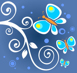 butterflies and white curls