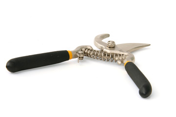 Obraz premium Scissors
