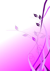 Fototapeta na wymiar illustration vectorielle florale rose et mauve